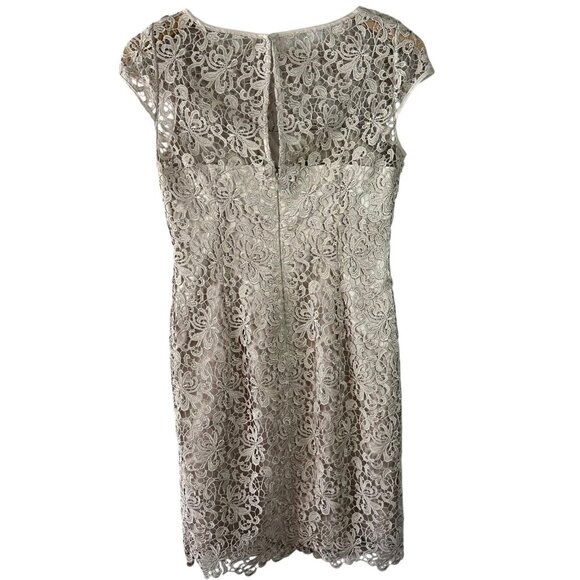 Adrianna Papell Champagne Lace Sheath Dress Size 6 Cocktail Evening Black Tie - Picture 4 of 6